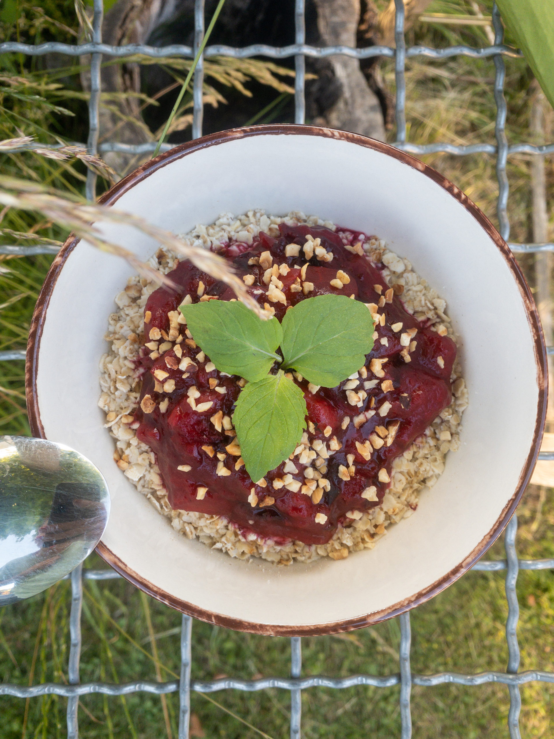 Pflaume Haselnuss Porridge